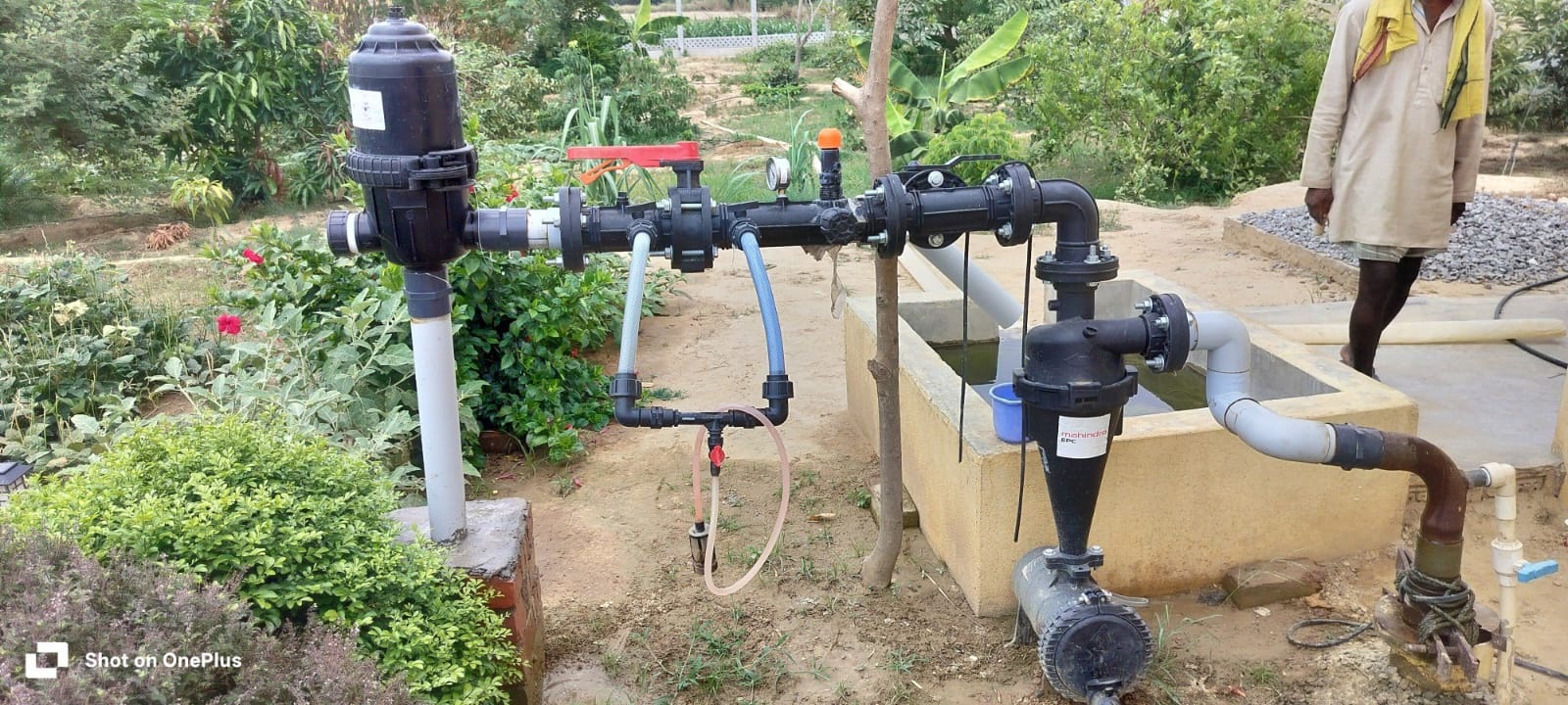 Drip irrigation in Mahindra orchard