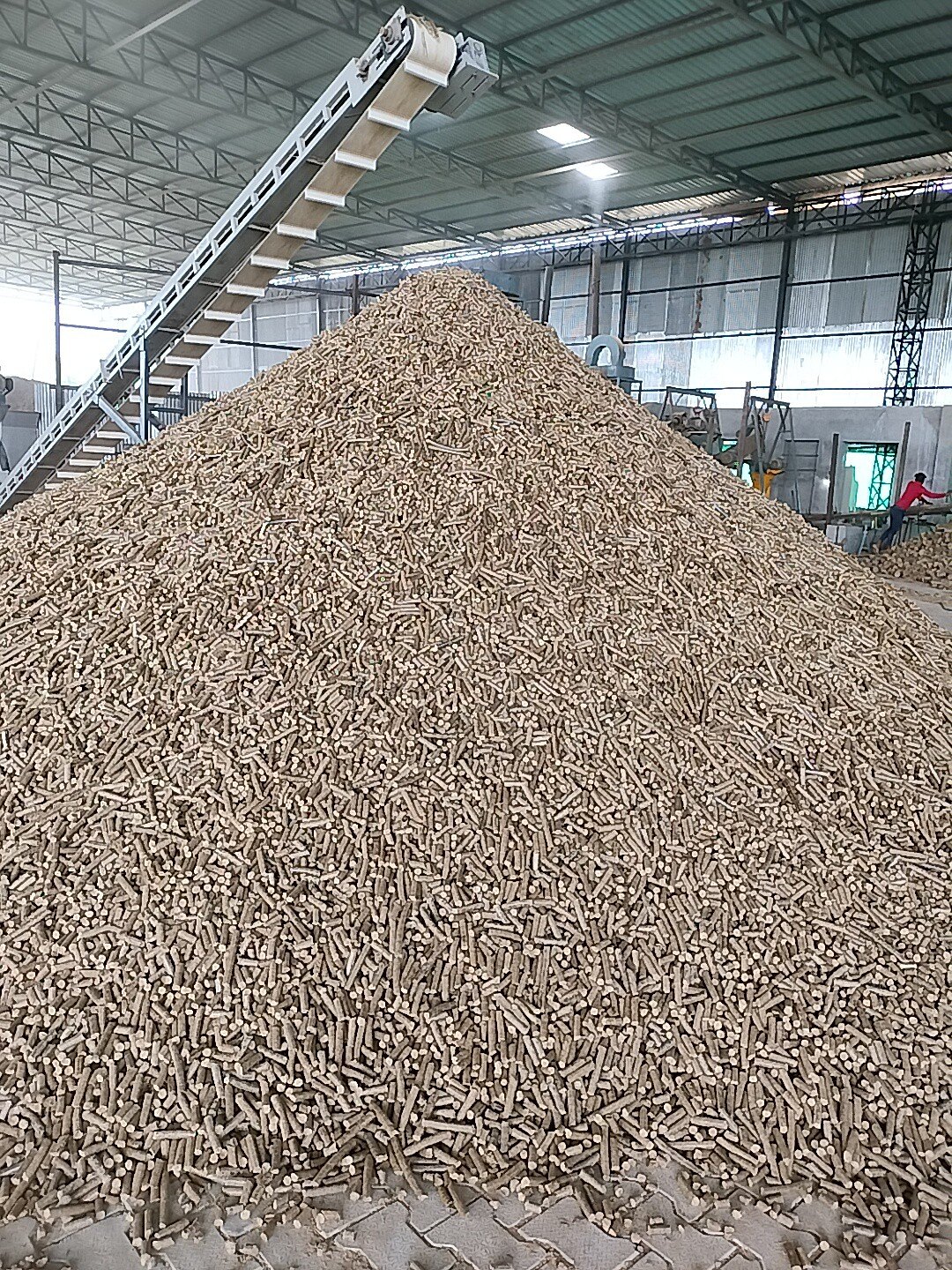 Biomass Pellets