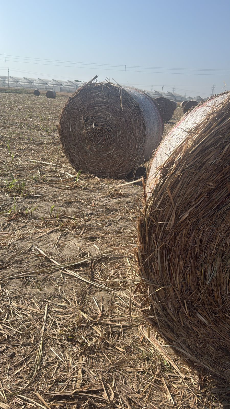 Close-up of round straw bales