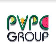 PVPC Group